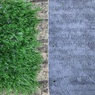 Искусственная трава SOCCER 40 - высокое качество по лучшей цене в Украине изображение 2.